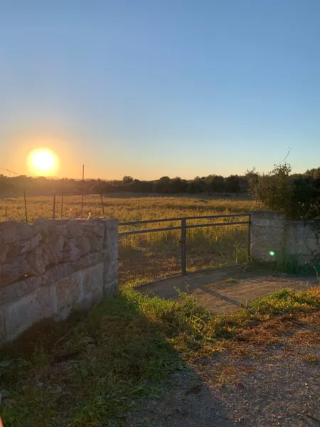 Beautiful rustic estate with panoramic views, natural light... — photo 1