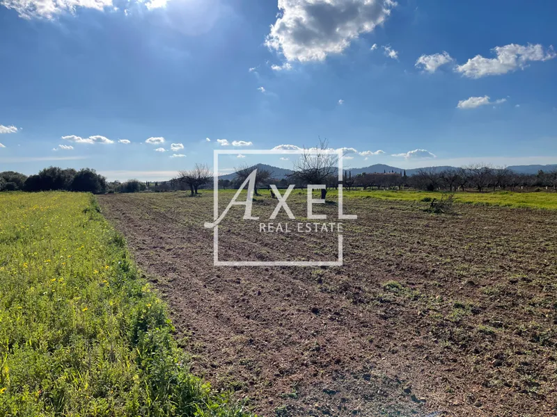 Small plot near Porreres, very good arable land — photo 4