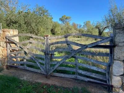 Rustic property - Sineu (Sineu) — photo 11