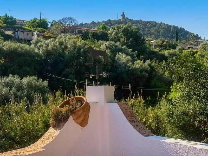 Located in the quiet outskirts of the coveted Genoa neighborhood, minutes from Palma, this exceptional property sits on a — photo 10