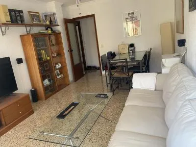 Flat - Alcúdia (Port d'Alcúdia - Platja d'Alcúdia) — photo 2