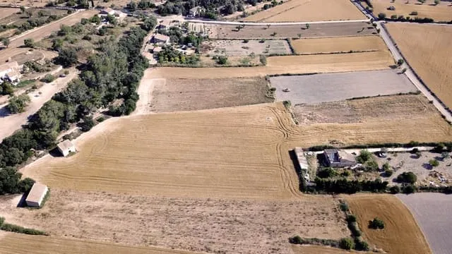 Finca/Country House for sale in Lloret de Vista Alegre — photo 2