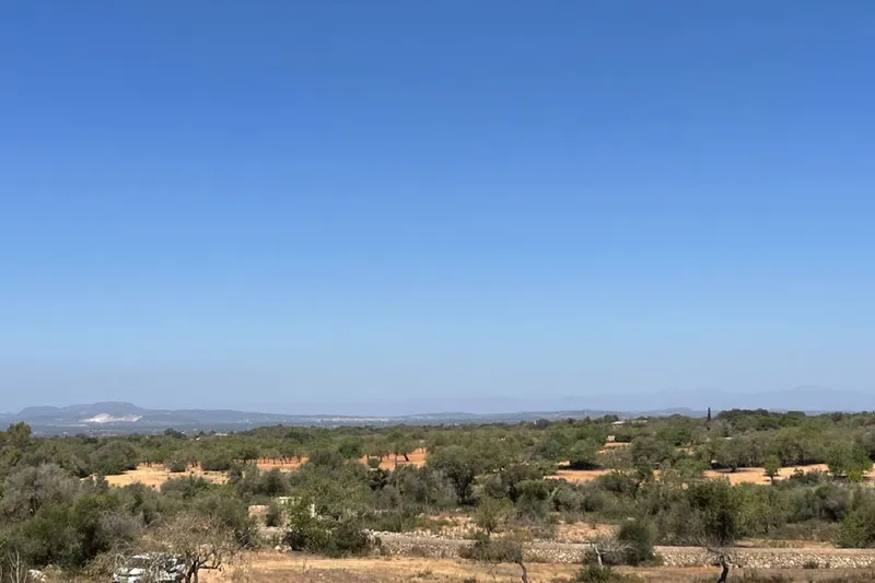 Building plot near Es Carritxó with views and approved finca project — photo 6
