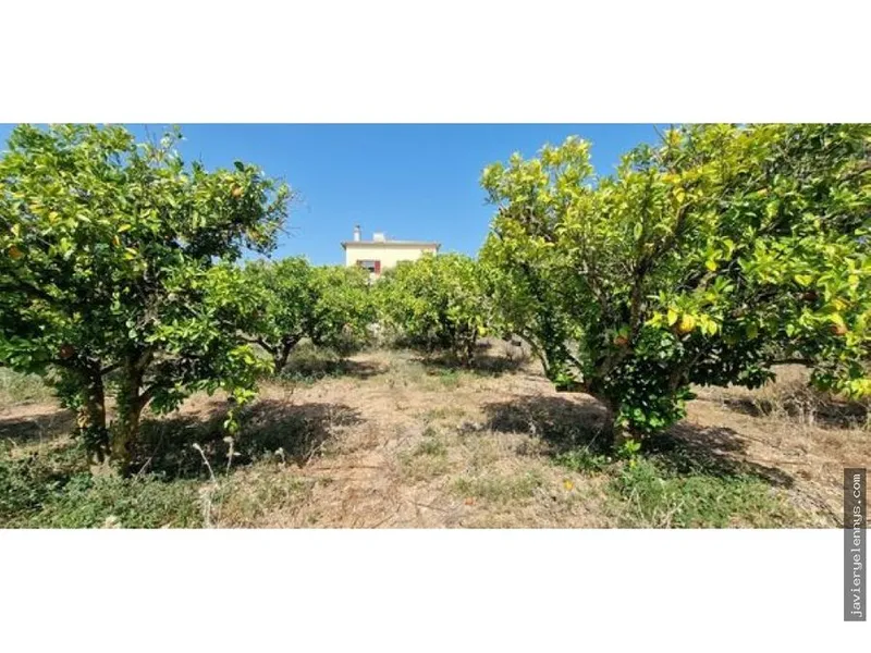 Country house for sale on Calle Frares — photo 4