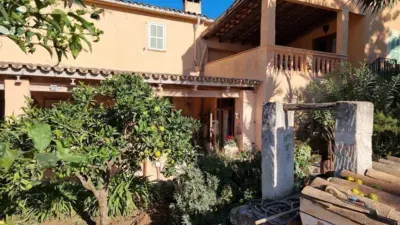Rustic finca in Montuiri — photo 4