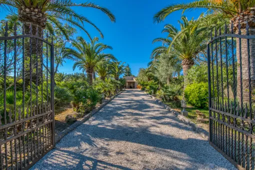 Pollensa, two villas with touristic rental licence in Pollenca — photo 3