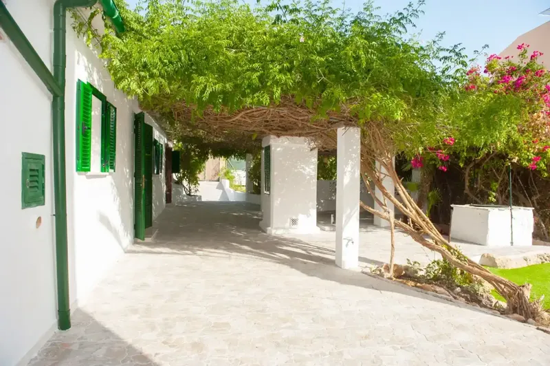 Se alquila para vivienda habitual, magnífico chalet unifamiliar de 150 m² con una terraza de 235m² y una parcela con frutales de 1.200 m², u — photo 1