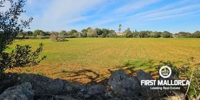 Real estate picture 0 Ref. No. 82005 — photo 4