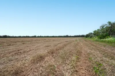 Sale Land Campos — photo 1