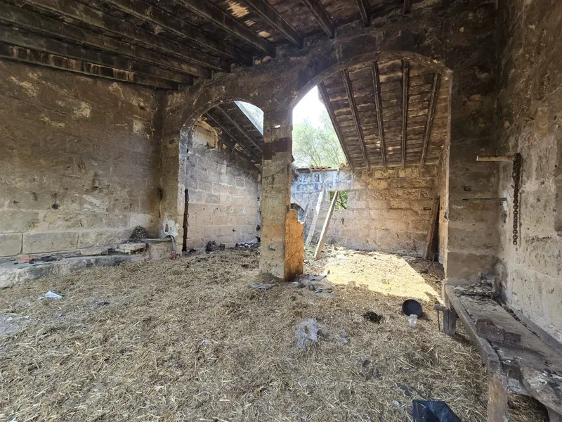 Rustic property - Palma de Mallorca (Son Ferriol - Sant Jordi), Built Surface 400m², Plot Surface... — photo 12