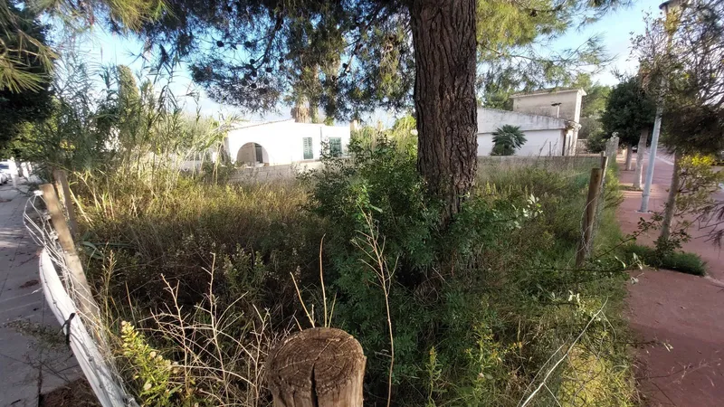 Urban plot of 270 m² in Puerto Alcúdia — photo 4