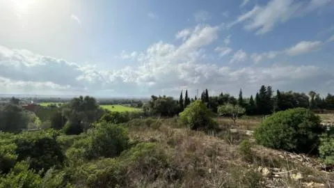 Plot — photo 1