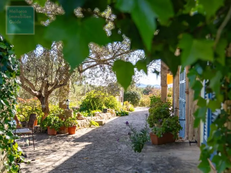 Son Carrió Finca with distant sea views and a small casita — photo 6