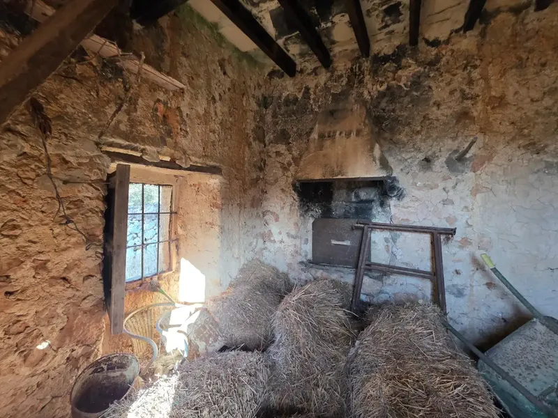 Located in an idyllic setting, surrounded by nature and a step from Costitx, we offer this rustic estate of about 36,000m2 populated with vegetation — photo 12