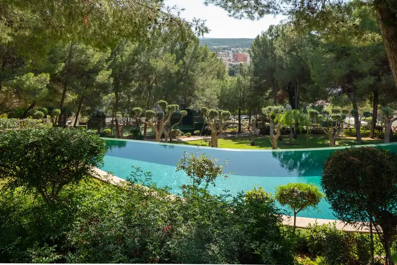 Can you imagine owning your home in Mallorca? Testa Homes makes it a reality! — photo 1