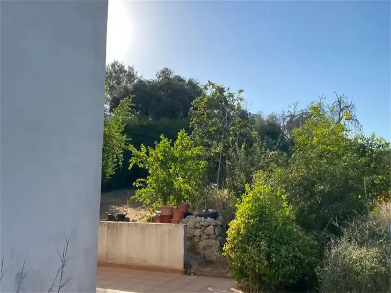 inca en venta en Costitx, con 14800m2 de campo, 300m2 de vivienda 150m2 lavandería, portaza y porche. — photo 11