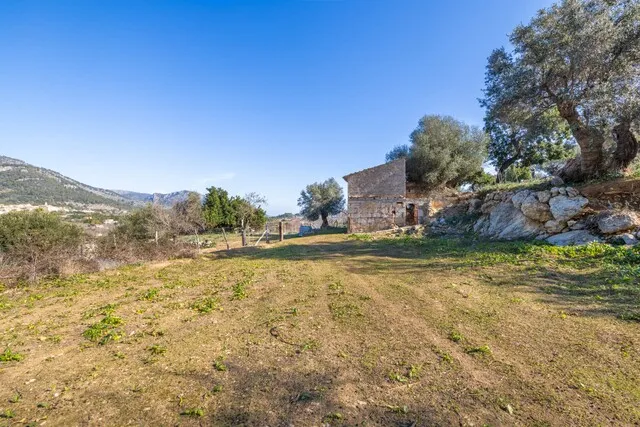 Beautiful plot for sale with 'bancales' between Selva and Caimari, Mallorca — photo 4