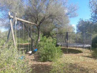 Country House - Manacor (Manacor Centro) — photo 9