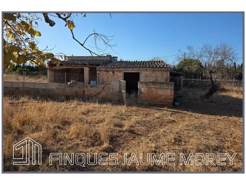 En el municipio de Búger les ofrecemos esta finca rústica de uno 8.000m2 de terreno con una edificación agraria existente de unos 240m2 apro — photo 3