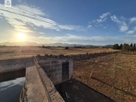 Rustic property in Muro, 140 m² built, 18,400 m² plot, 1 room, 1 bathroom — photo 1