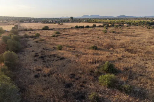 Campos, Idyllic Plot with Panoramic Views and New-Build Project between Campos and the Coast — photo 9