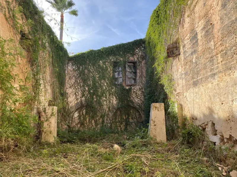 Villa in Binissalem, Mallorca — photo 3