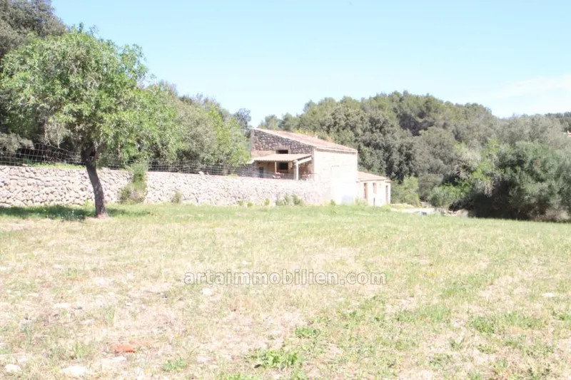 Finca in Arta — photo 1