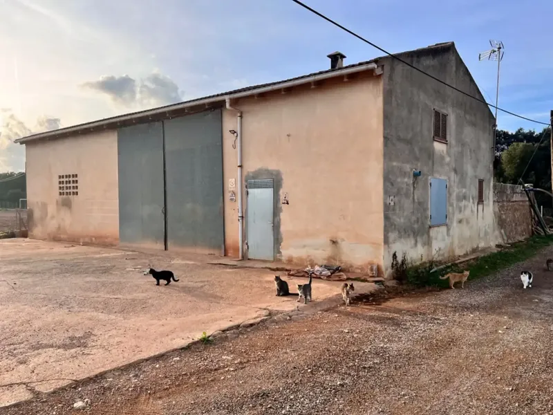Rustic estate for sale, between Llubí and Muro, about 39,000 m2 of land, with several constructions, a large safareig, an agricultural warehouse and — photo 1