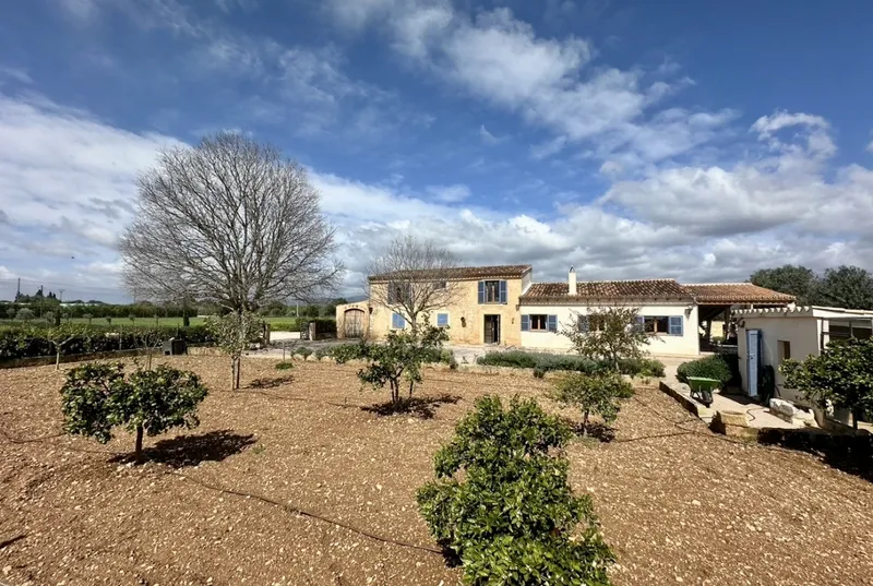 Finca in Binissalem — photo 3