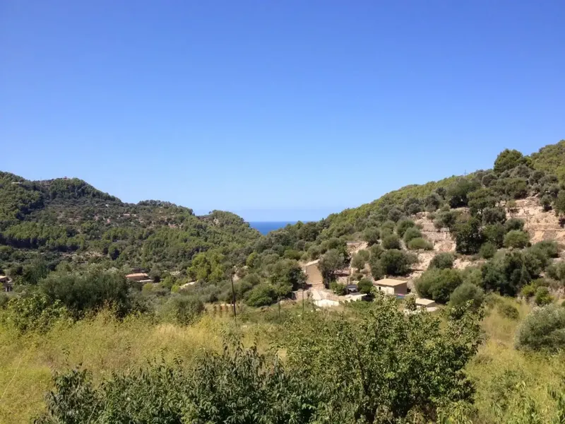 Impressive and very rare rural property with 12 bedrooms and own oil mill for sale in Estellencs — photo 2