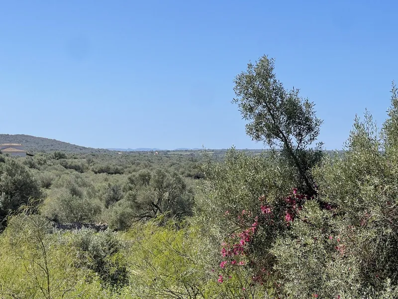 Charming Country House with Panoramic Views and Renovation Potential — photo 4
