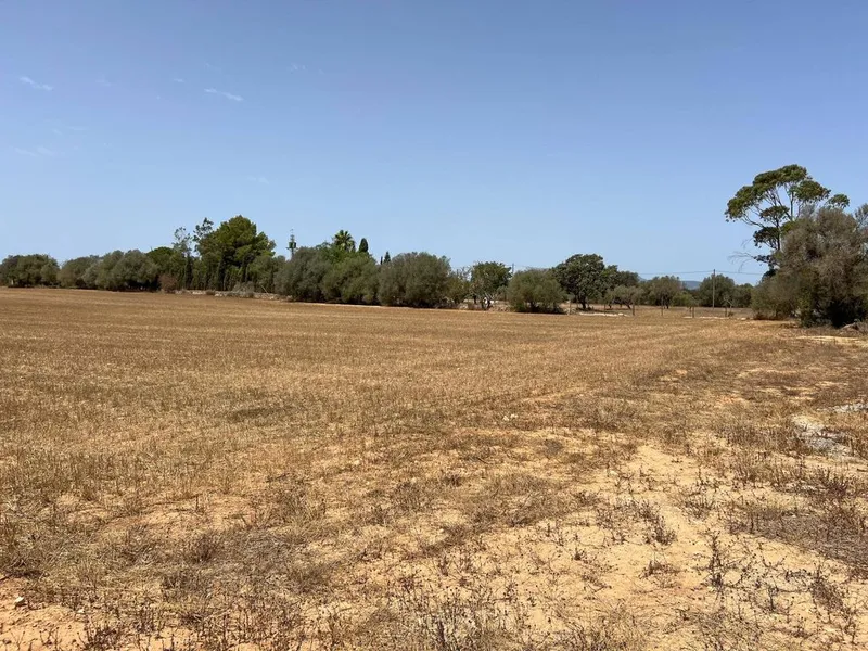Rural or Farmhouse in Felanitx, Province of Balearic Islands — photo 9