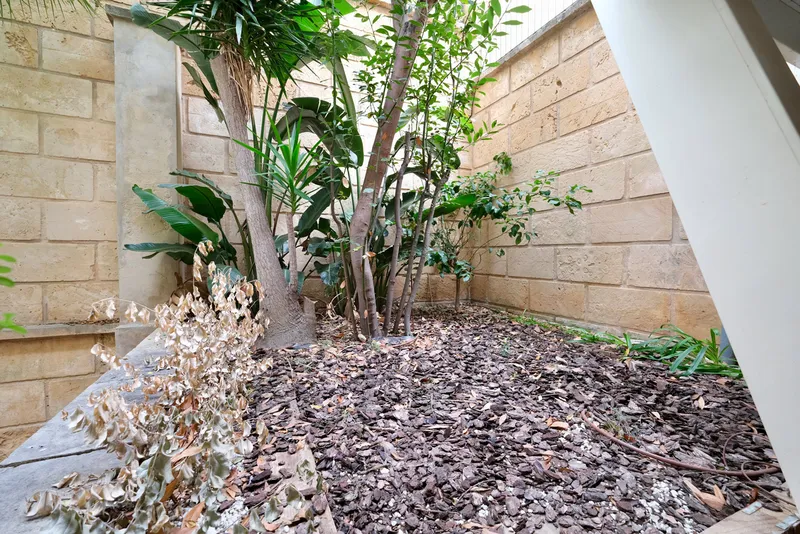 Apartment in Puerto Portals - Exclusive communal pool — photo 10