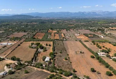 Rustic plot in Algaida — photo 8