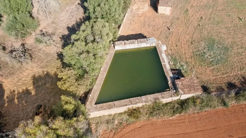 Finca of 24,823 m2 in Búger, currently with 337 m2 built, divided into 217 m2 of house with stables, a 60 m2 building, 147 m2 — photo 12