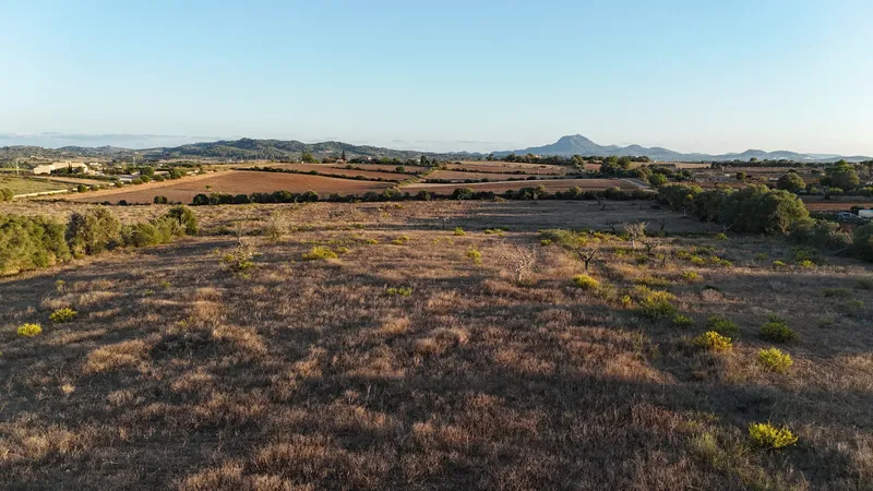New Build Finca in Manacor: A Fusion of Luxury and Design — photo 12
