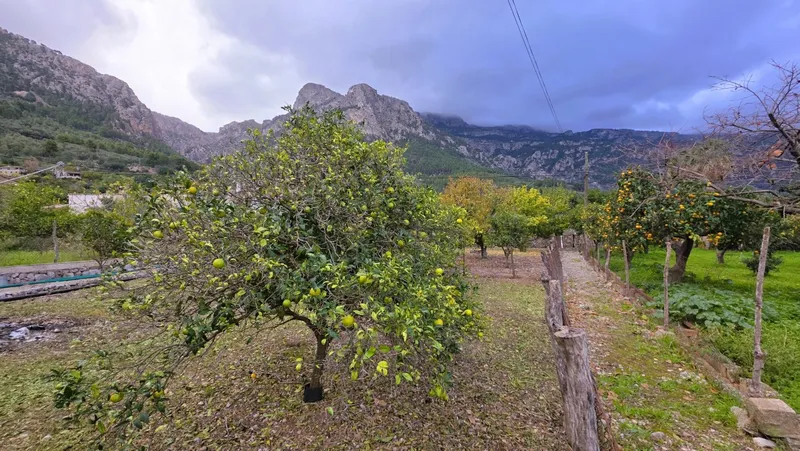 Property with great potential and spectacular views in the Sóller Valley — photo 8