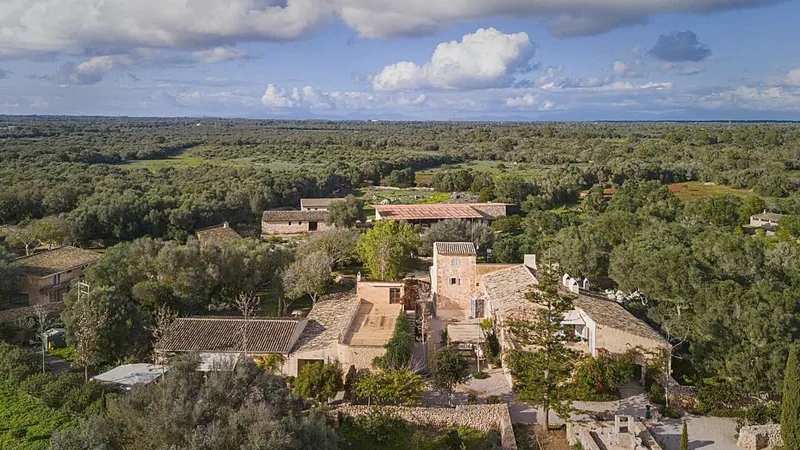 Historic estate in Llucmajor - with 27 hectares of private land and cypress avenue — photo 4