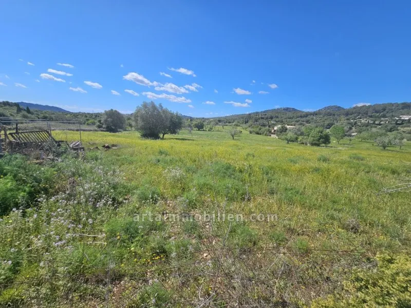 Plot in Son Servera — photo 1
