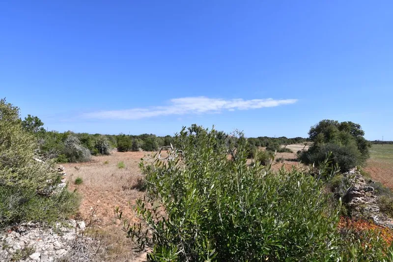 Rustic plot with unobstructed views 5 minutes from Santanyi — photo 3