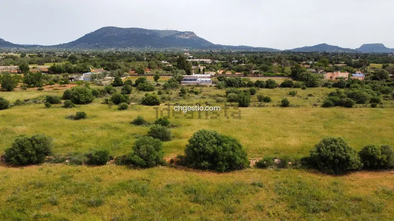 Plot in Llucmajor — photo 10