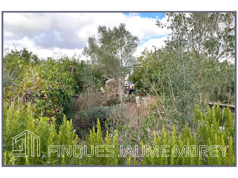 Rustic house — photo 4