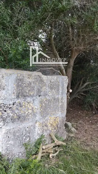 The price of 39,900 euros is for the 3 plots. — photo 7
