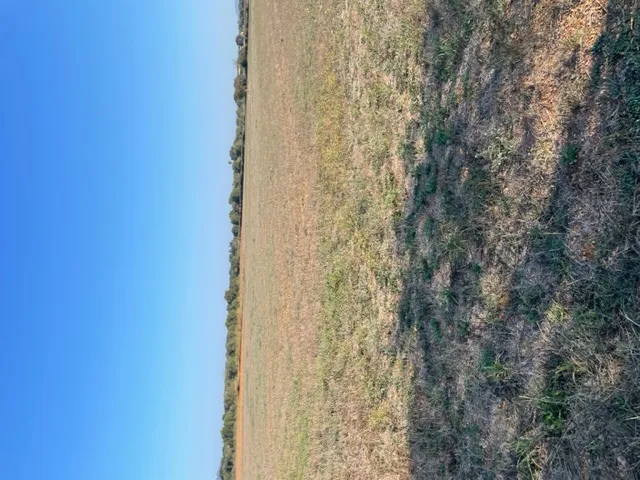 Plot with project in Son Valls — photo 7