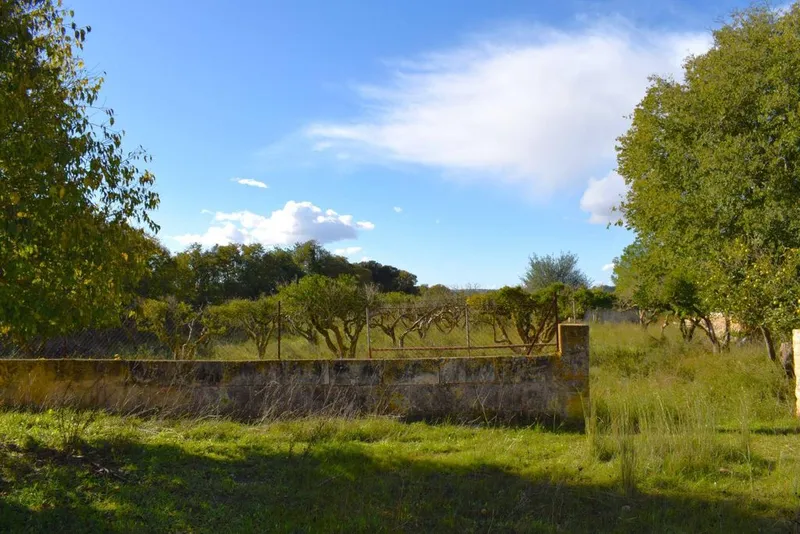 Land in Llubí, Province of Balearic Islands — photo 7