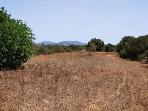 Beautiful plot in a quiet area Rustic Land — photo 1