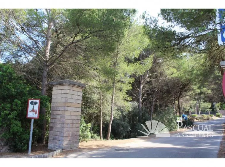 Plot for sale in Canyamel — photo 6