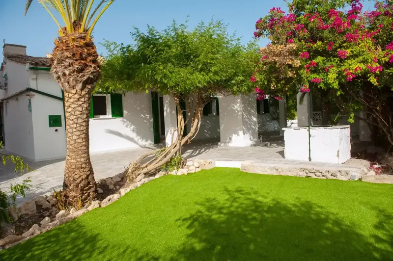 Se alquila para vivienda habitual, magnífico chalet unifamiliar de 150 m² con una terraza de 235m² y una parcela con frutales de 1.200 m², u — photo 3