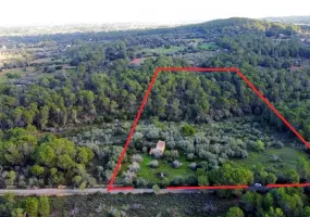 Exceptional Rustic Plot with Building License — photo 5