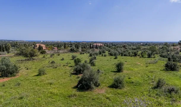 Sea-view plot just 10 minutes from Porto Cristo — photo 10